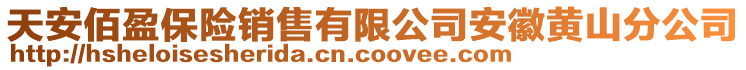 天安佰盈保險銷售有限公司安徽黃山分公司