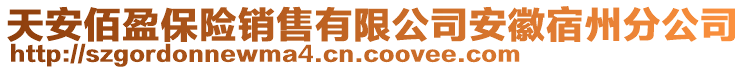 天安佰盈保險(xiǎn)銷(xiāo)售有限公司安徽宿州分公司