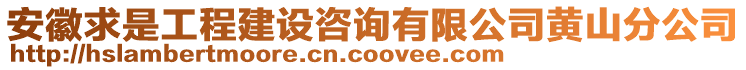 安徽求是工程建设咨询有限公司黄山分公司