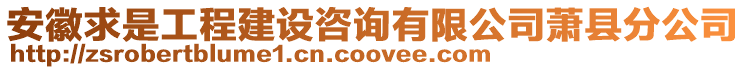 安徽求是工程建設(shè)咨詢有限公司蕭縣分公司