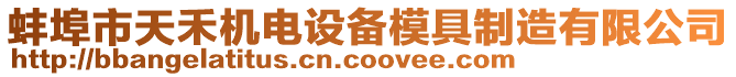 蚌埠市天禾機(jī)電設(shè)備模具制造有限公司