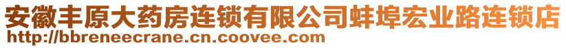 安徽豐原大藥房連鎖有限公司蚌埠宏業(yè)路連鎖店