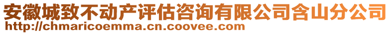 安徽城致不動產(chǎn)評估咨詢有限公司含山分公司