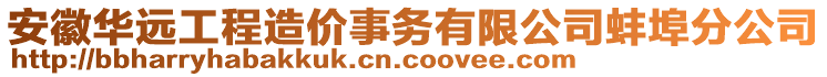 安徽華遠工程造價事務(wù)有限公司蚌埠分公司