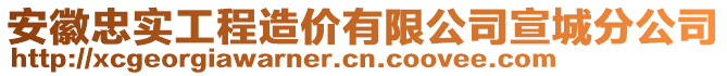 安徽忠實工程造價有限公司宣城分公司