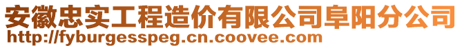 安徽忠實工程造價有限公司阜陽分公司