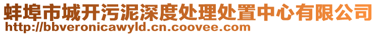 蚌埠市城開污泥深度處理處置中心有限公司
