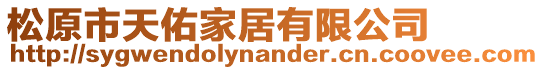 松原市天佑家居有限公司