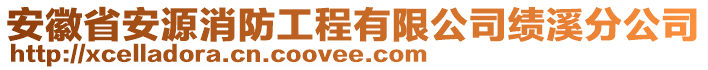 安徽省安源消防工程有限公司績溪分公司