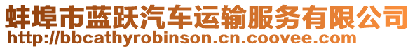 蚌埠市藍躍汽車運輸服務有限公司