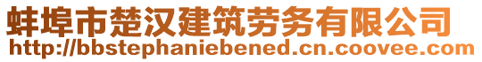 蚌埠市楚漢建筑勞務(wù)有限公司