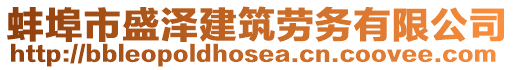 蚌埠市盛澤建筑勞務(wù)有限公司