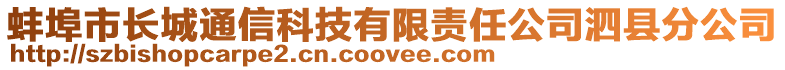 蚌埠市長城通信科技有限責(zé)任公司泗縣分公司