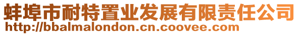 蚌埠市耐特置業(yè)發(fā)展有限責(zé)任公司