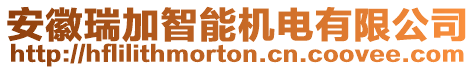 安徽瑞加智能機(jī)電有限公司