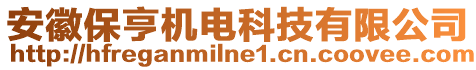 安徽保亨機(jī)電科技有限公司