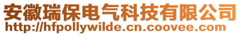 安徽瑞保電氣科技有限公司