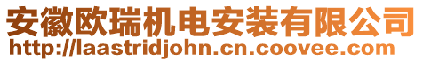 安徽歐瑞機(jī)電安裝有限公司