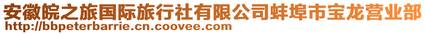 安徽皖之旅國際旅行社有限公司蚌埠市寶龍營業(yè)部