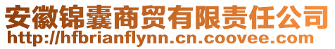 安徽錦囊商貿(mào)有限責(zé)任公司