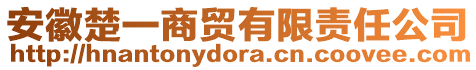 安徽楚一商貿有限責任公司