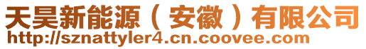 天昊新能源(安徽)有限公司