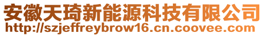 安徽天琦新能源科技有限公司