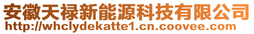 安徽天祿新能源科技有限公司