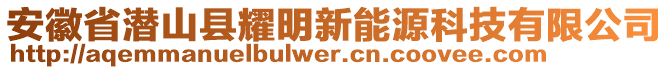 安徽省潛山縣耀明新能源科技有限公司
