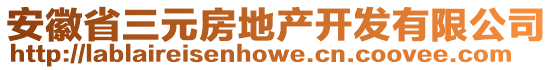 安徽省三元房地產(chǎn)開發(fā)有限公司