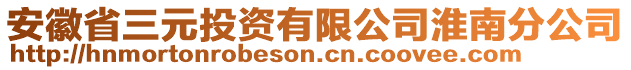 安徽省三元投資有限公司淮南分公司