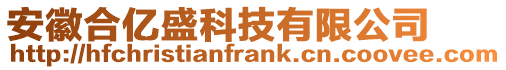 安徽合億盛科技有限公司