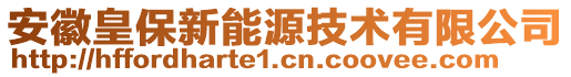 安徽皇保新能源技術(shù)有限公司