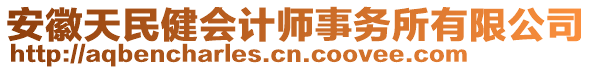 安徽天民健會(huì)計(jì)師事務(wù)所有限公司