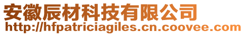 安徽辰材科技有限公司