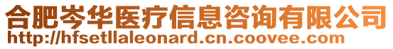 合肥岑華醫(yī)療信息咨詢有限公司