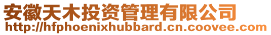 安徽天木投資管理有限公司
