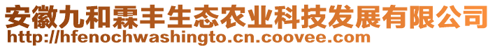 安徽九和霖豐生態(tài)農(nóng)業(yè)科技發(fā)展有限公司