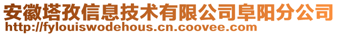 安徽塔孜信息技術有限公司阜陽分公司