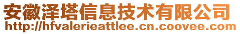 安徽澤塔信息技術(shù)有限公司