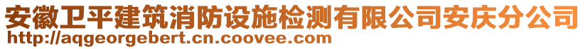 安徽衛(wèi)平建筑消防設施檢測有限公司安慶分公司