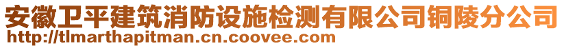 安徽衛(wèi)平建筑消防設(shè)施檢測有限公司銅陵分公司