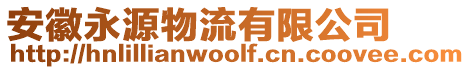 安徽永源物流有限公司