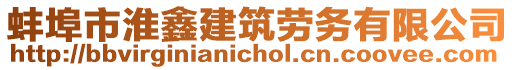 蚌埠市淮鑫建筑勞務(wù)有限公司