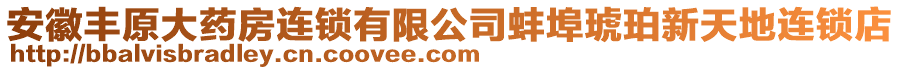 安徽豐原大藥房連鎖有限公司蚌埠琥珀新天地連鎖店