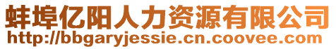 蚌埠億陽人力資源有限公司