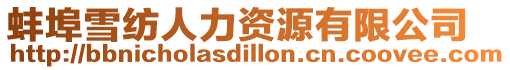 蚌埠雪紡人力資源有限公司