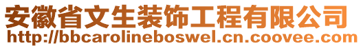 安徽省文生裝飾工程有限公司