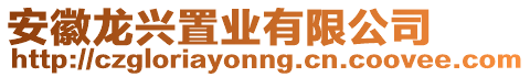 安徽龍興置業(yè)有限公司