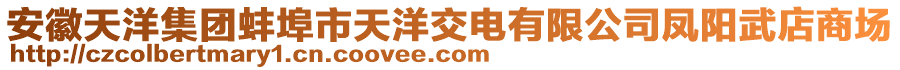 安徽天洋集团蚌埠市天洋交电有限公司凤阳武店商场